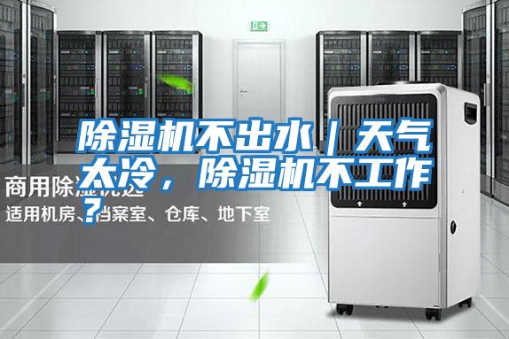 除濕機(jī)不出水｜天氣太冷，除濕機(jī)不工作？