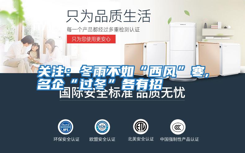 關(guān)注：冬雨不如“西風”寒,名企“過冬”各有招