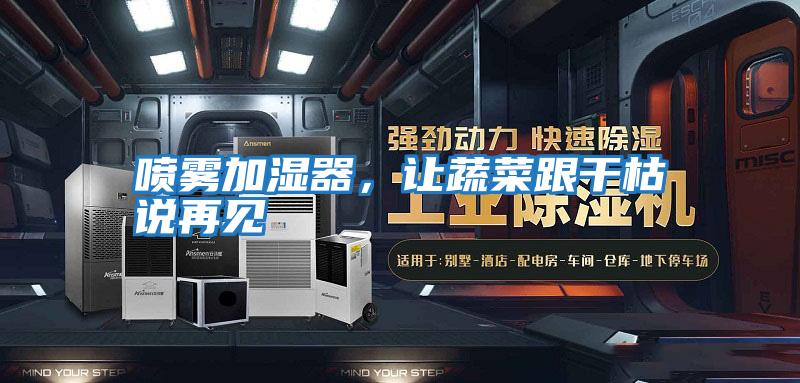 噴霧加濕器，讓蔬菜跟干枯說再見