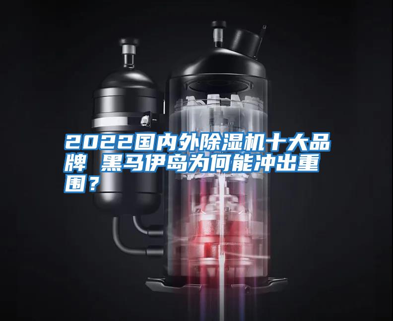 2022國內外除濕機十大品牌 黑馬伊島為何能沖出重圍？