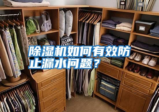 除濕機(jī)如何有效防止漏水問題?