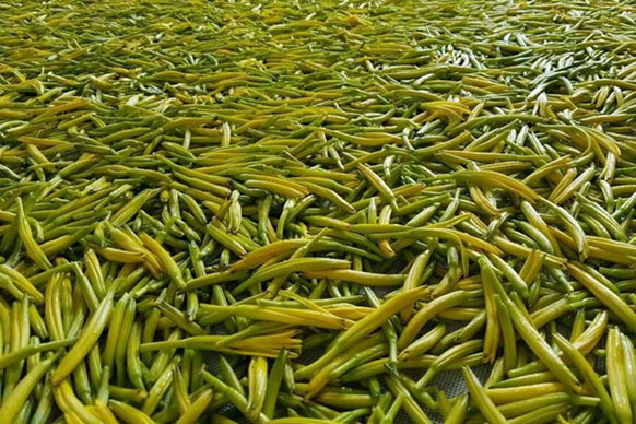 無(wú)硫金針菜烘干如何保持品相?不發(fā)黑?_除濕機(jī)廠家