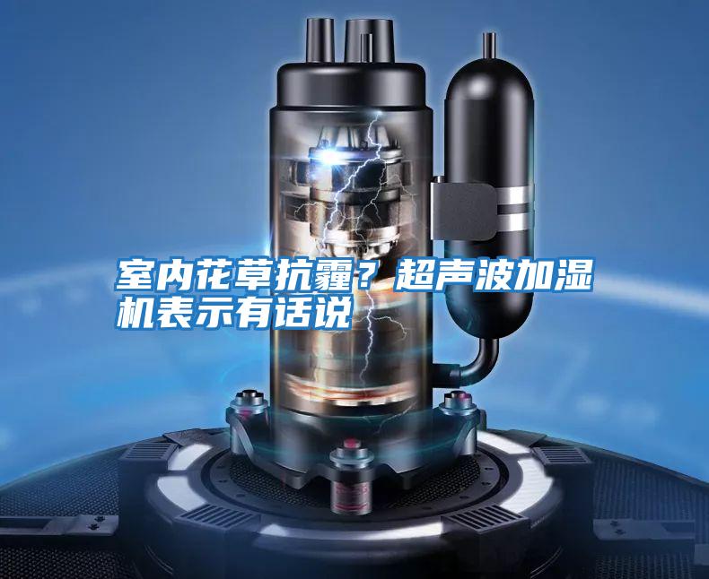 室內(nèi)花草抗霾？超聲波加濕機(jī)表示有話說
