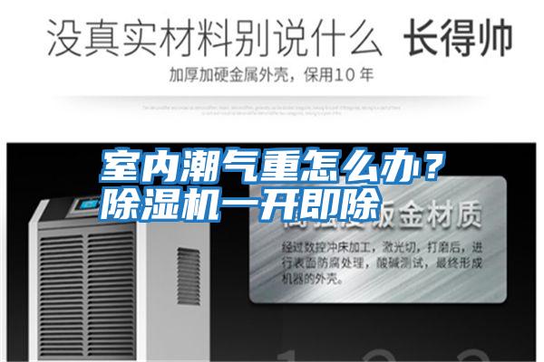 室內(nèi)潮氣重怎么辦？除濕機(jī)一開即除