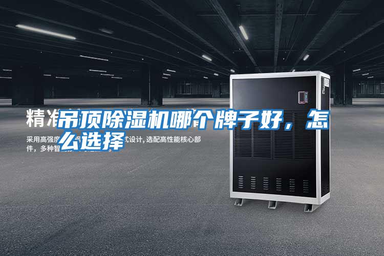 吊頂除濕機(jī)哪個(gè)牌子好，怎么選擇