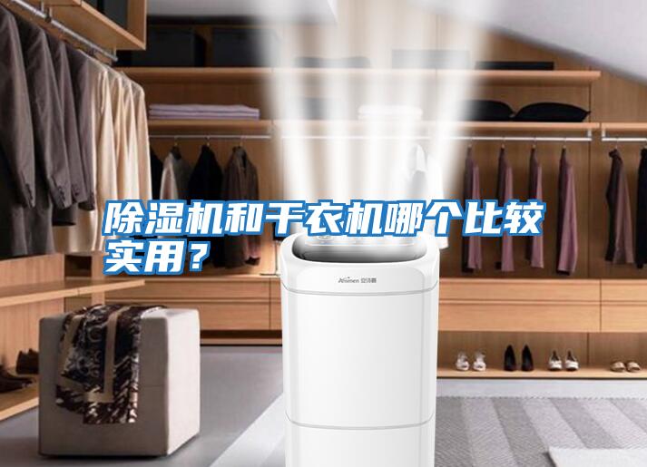 除濕機和干衣機哪個比較實用?