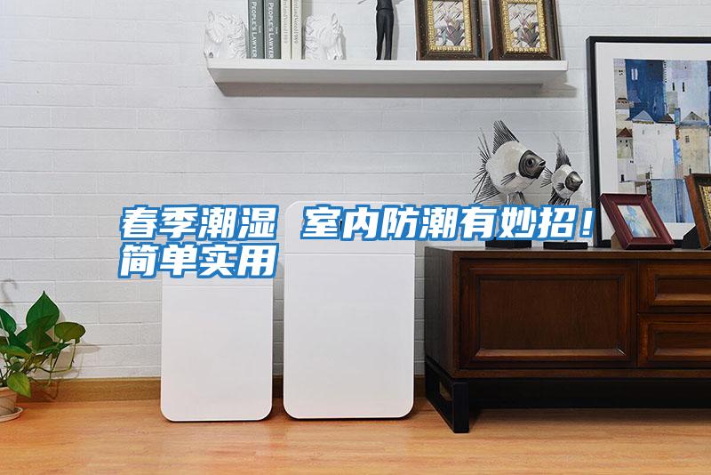 春季潮濕 室內防潮有妙招！簡單實用