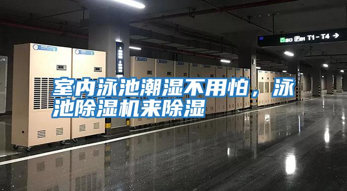 室內(nèi)泳池潮濕不用怕，泳池除濕機來除濕