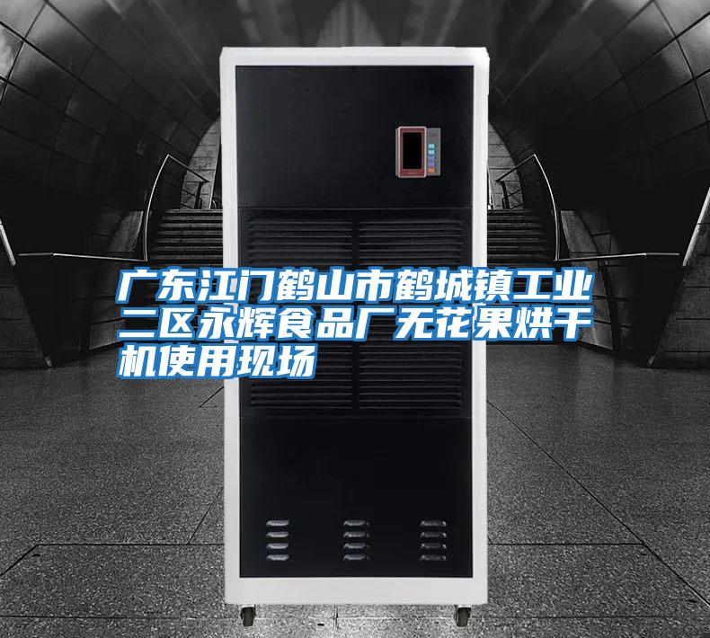 廣東江門(mén)鶴山市鶴城鎮(zhèn)工業(yè)二區(qū)永輝食品廠無(wú)花果烘干機(jī)使用現(xiàn)場(chǎng)