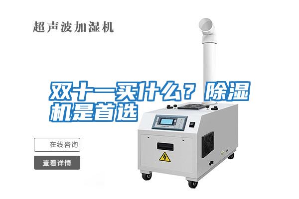 雙十一買什么？除濕機是首選