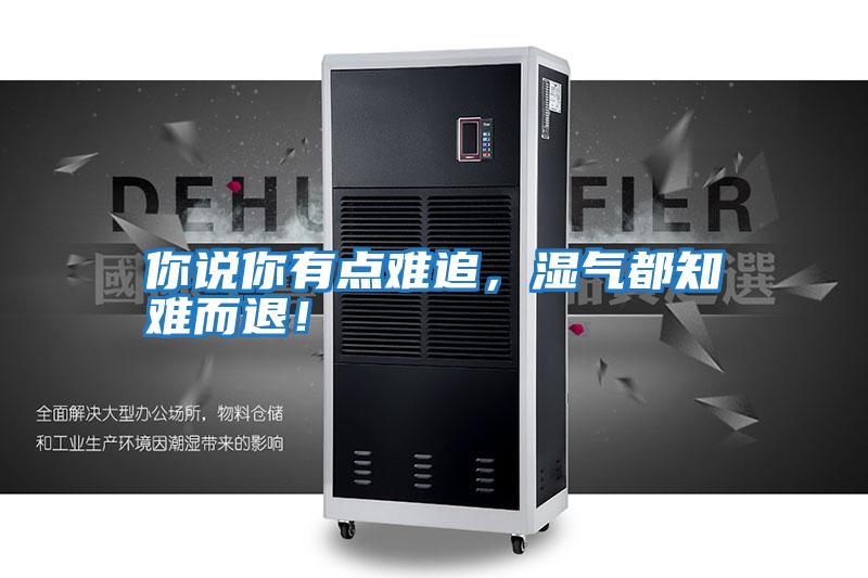 你說你有點(diǎn)難追，濕氣都知難而退！