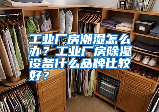工業廠房潮濕怎么辦？工業廠房除濕設備什么品牌比較好？