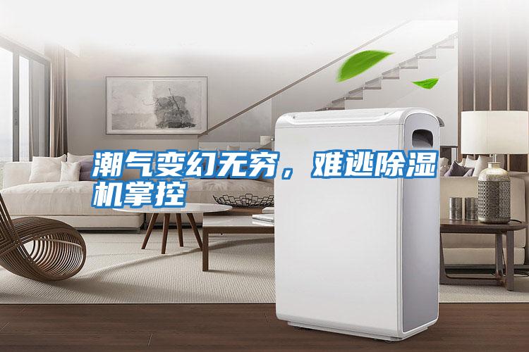 潮氣變幻無窮，難逃除濕機(jī)掌控