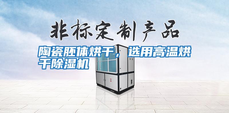 陶瓷胚體烘干，選用高溫烘干除濕機