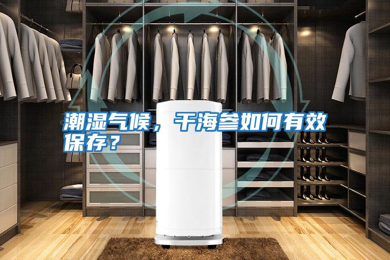 潮濕氣候，干海參如何有效保存？