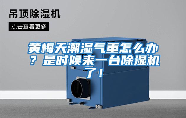 黃梅天潮濕氣重怎么辦？是時候來一臺除濕機了！