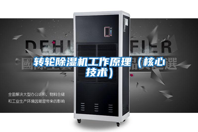 轉(zhuǎn)輪除濕機工作原理（核心技術(shù)）