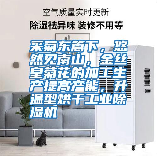 采菊東籬下，悠然見南山，金絲皇菊花的加工生產(chǎn)提高產(chǎn)能，升溫型烘干工業(yè)除濕機(jī)
