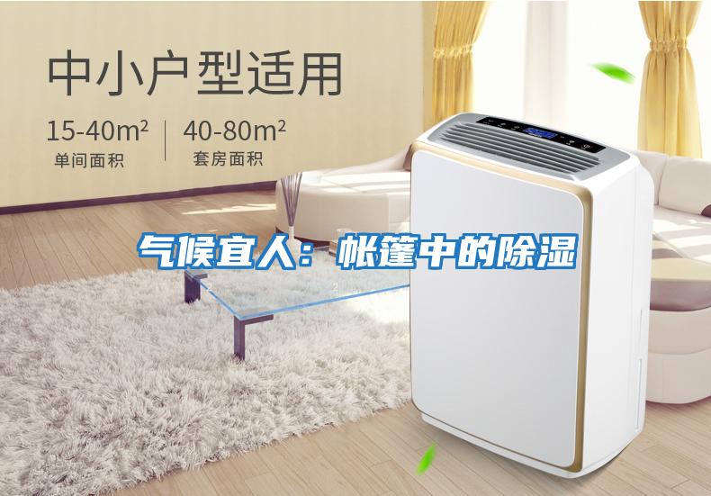 氣候宜人:帳篷中的除濕