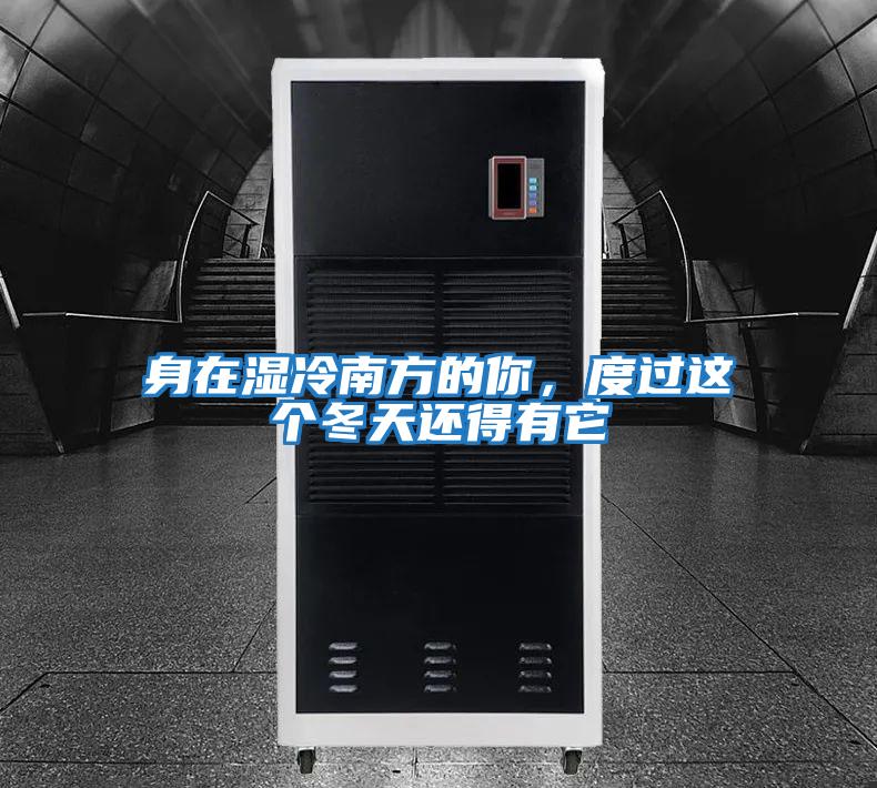 身在濕冷南方的你，度過這個冬天還得有它