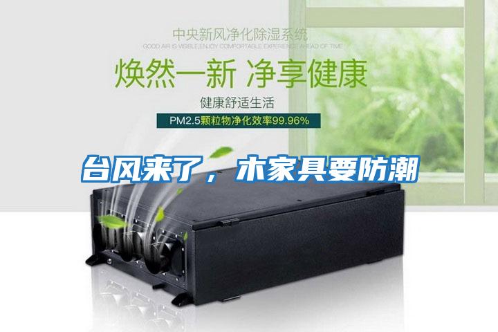 臺風(fēng)來了，木家具要防潮