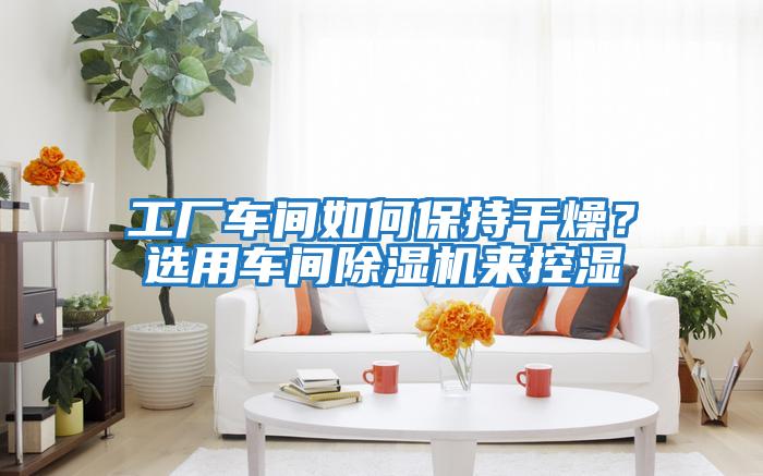 工廠車間如何保持干燥?選用車間除濕機(jī)來控濕