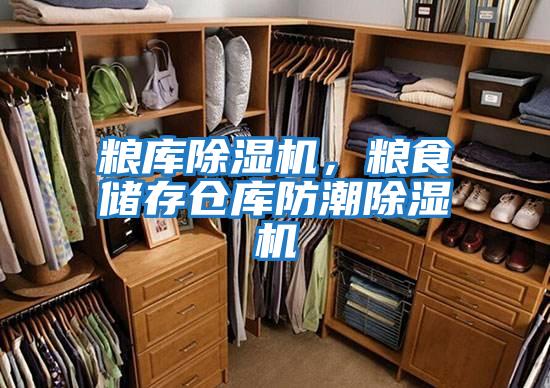 糧庫除濕機，糧食儲存?zhèn)}庫防潮除濕機