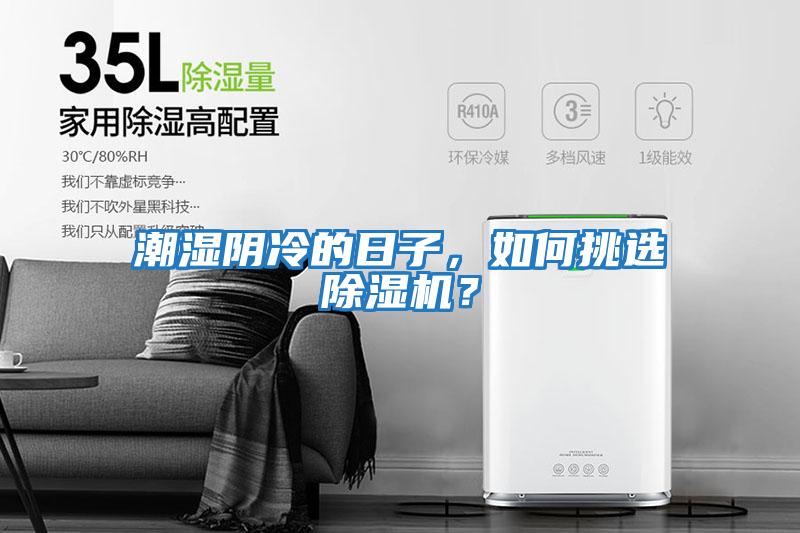 潮濕陰冷的日子,如何挑選除濕機?