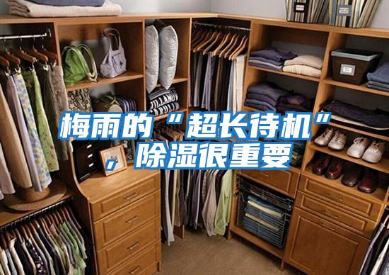 梅雨的“超長待機”，除濕很重要