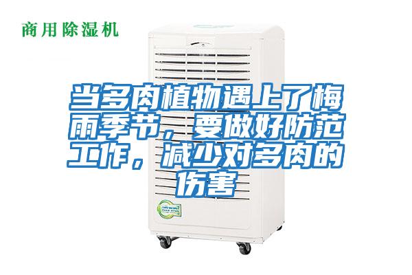當多肉植物遇上了梅雨季節，要做好防范工作，減少對多肉的傷害