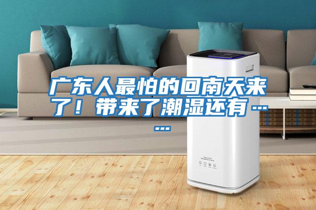 廣東人最怕的回南天來了！帶來了潮濕還有……