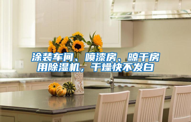 涂裝車間、噴漆房、晾干房用除濕機(jī)，干燥快不發(fā)白