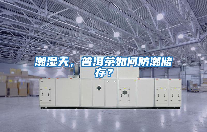 潮濕天,普洱茶如何防潮儲存?