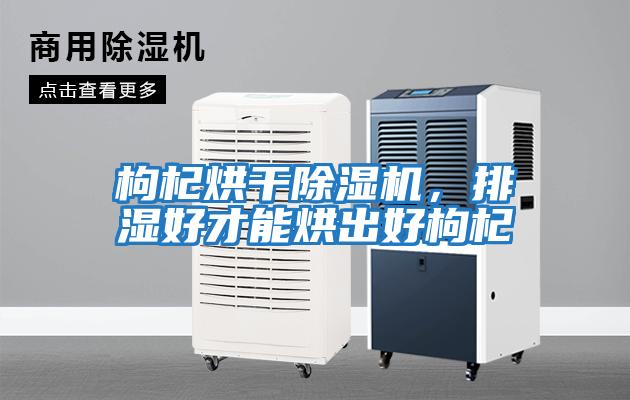 枸杞烘干除濕機(jī)，排濕好才能烘出好枸杞