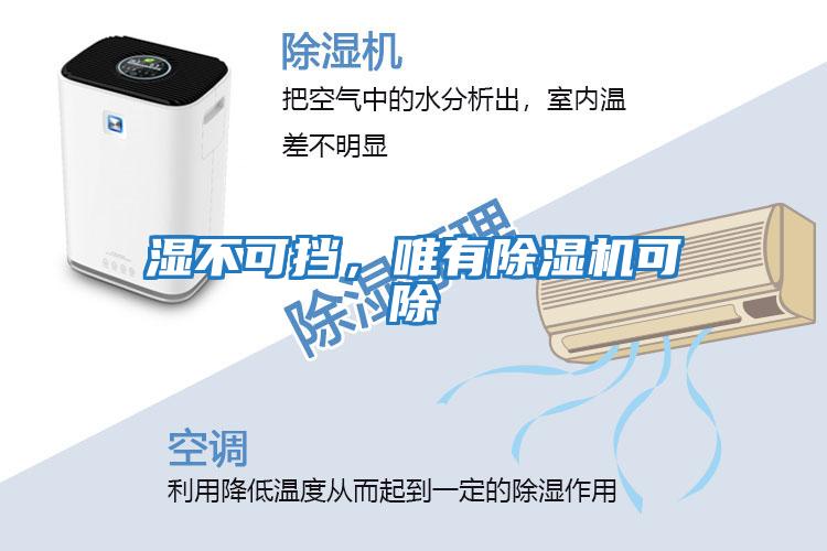 濕不可擋，唯有除濕機可除