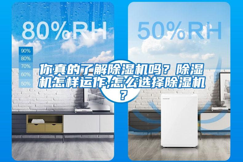 你真的了解除濕機(jī)嗎？除濕機(jī)怎樣運作,怎么選擇除濕機(jī)？
