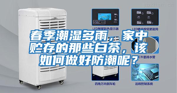 春季潮濕多雨，家中貯存的那些白茶，該如何做好防潮呢？