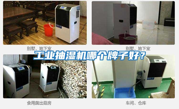 工業(yè)抽濕機(jī)哪個(gè)牌子好？