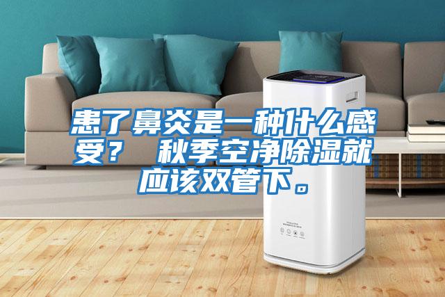 患了鼻炎是一種什么感受? 秋季空凈除濕就應(yīng)該雙管下。