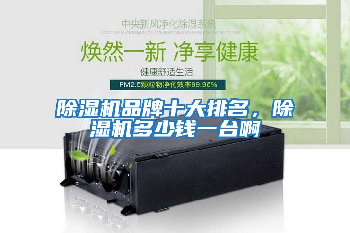 除濕機品牌十大排名，除濕機多少錢一臺啊