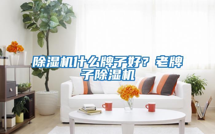 除濕機(jī)什么牌子好？老牌子除濕機(jī)