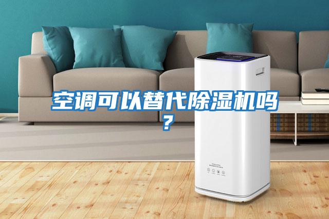空調(diào)可以替代除濕機(jī)嗎?
