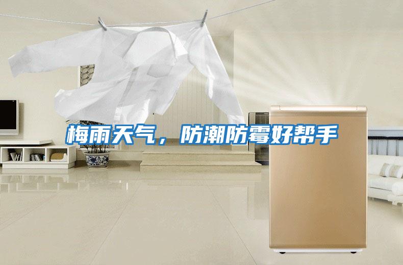 梅雨天氣，防潮防霉好幫手