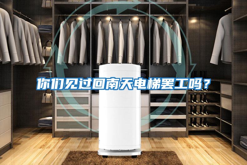 你們見過回南天電梯罷工嗎？