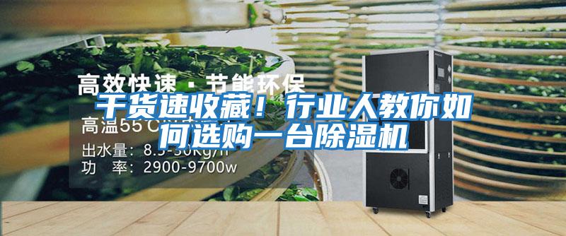 干貨速收藏！行業(yè)人教你如何選購一臺除濕機
