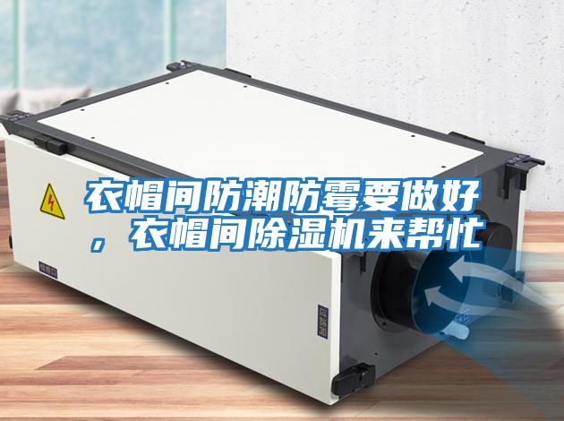 衣帽間防潮防霉要做好，衣帽間除濕機(jī)來幫忙