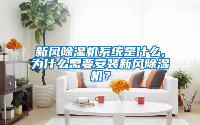 新風除濕機系統是什么,為什么需要安裝新風除濕機？