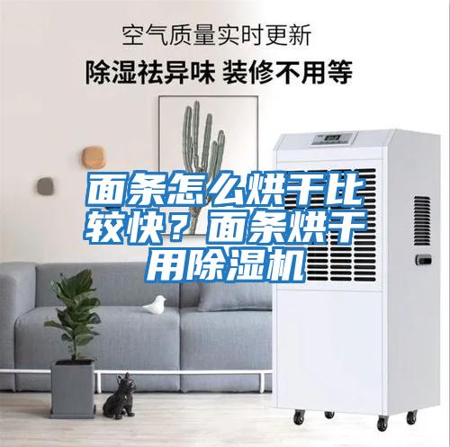 面條怎么烘干比較快?面條烘干用除濕機