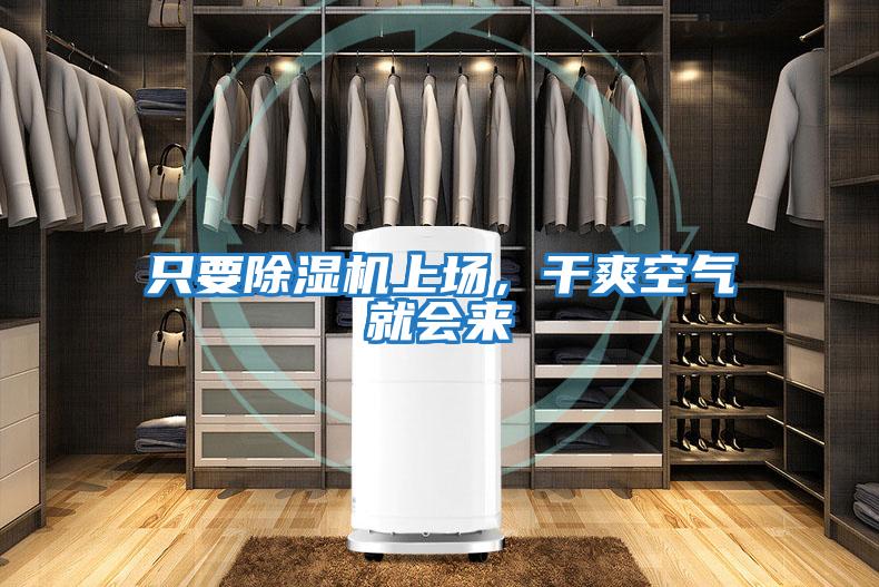 只要除濕機上場，干爽空氣就會來