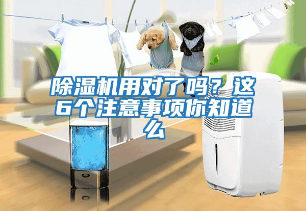 除濕機(jī)用對了嗎？這6個注意事項你知道么
